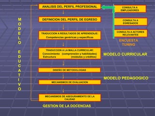 TRADUCCION A RESULTADOS DE APRENDIZAJE:
Competencias genéricas y específicas
DEFINICION DEL PERFIL DE EGRESO
ANALISIS DEL PERFIL PROFESIONAL
TRADUCCION A LA MALLA CURRICULAR:
Conocimiento (comprensión y habilidades)
Estructura (módulos y créditos)
DISEÑO DE METODOLOGIAS
MECANISMOS DE ASEGURAMIENTO DE LA
CALIDAD
MECANISMOS DE EVALUACION
CONSULTA A
EMPLEADORES
CONSULTA A
EGRESADOS
CONSULTA A ACTORES
RELEVANTES
ENCUESTA
TUNING
M
O
D
E
L
O
E
D
U
C
A
T
I
V
O
MODELO CURRICULAR
MODELO PEDAGOGICO
GESTION DE LA DOCENCIAS
 