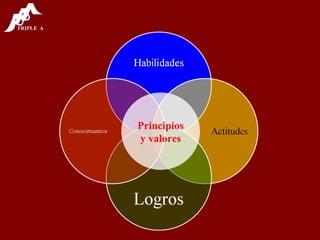 Principios y valores 