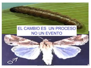 Consultores:
Juan Carlos Pacheco y Gloria A.
Valenzuela B.
Derechos Reservados
EL CAMBIO ES UN PROCESO
NO UN EVENTO
 