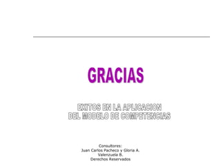 Consultores:
Juan Carlos Pacheco y Gloria A.
Valenzuela B.
Derechos Reservados
 