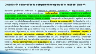 Competencias matemáticas_1.pdf