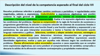 Competencias matemáticas_1.pdf