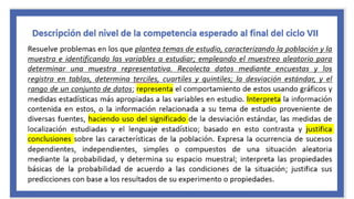 Competencias matemáticas_1.pdf