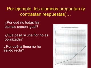 Por ejemplo, los alumnos preguntan (y contrastan respuestas)… ¿Por qu é no todas las plantas crecen igual? ¿Qué pasa si una flor no es polinizada? ¿Por qu é la línea no ha salido recta? 