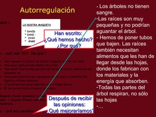 Autorregulaci ón Han escrito:  ¿Qué hemos hecho?  ¿Por qué? Después de recibir las opiniones:  ¿Qué mejoraríamos? -  Los árboles no tienen sangre. Las raíces son muy pequeñas y no podrían aguantar el árbol . - Hemos de poner tubos que bajen. Las raíces también necesitan alimentos que les han de llegar desde las hojas, donde los fabrican con los materiales y la energía que absorben. Todas las partes del árbol respiran, no sólo las hojas … 