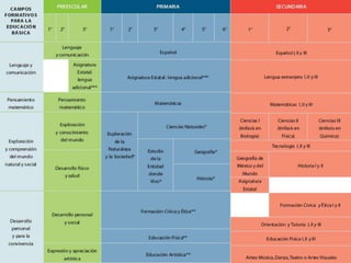 Competencias plan curricular