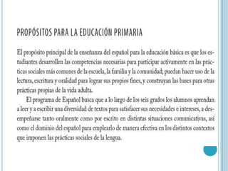 Competencias plan curricular
