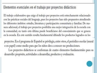 Competencias plan curricular