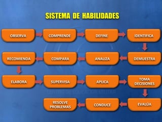 SISTEMA DE HABILIDADES
OBSERVA COMPRENDE DEFINE IDENTIFICA
RECOMIENDA COMPARA ANALIZA DEMUESTRA
ELABORA SUPERVISA APLICA
TOMA
DECISIONES
RESOLVE
PROBLEMAS CONDUCE EVALÚA
 
