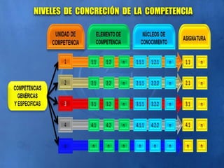 NIVELES DE CONCRECIÓN DE LA COMPETENCIA
 