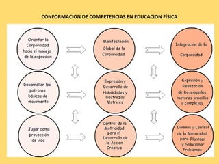 CONFORMACION DE COMPETENCIAS EN EDUCACION FÍSICA 