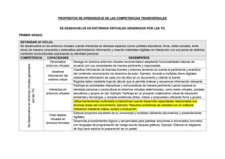 COMPETENCIAS TRANSVERSALES.pdf