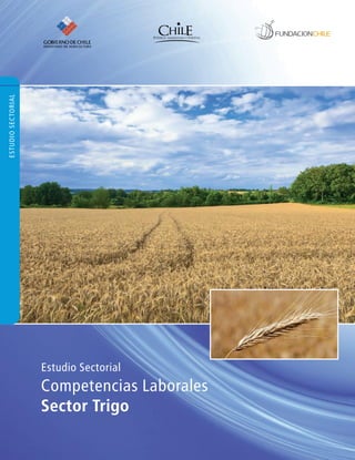 MINISTERIO DE AGRICULTURA
ESTUDIO SECTORIAL




                    Estudio Sectorial
                    Competencias Laborales
                    Sector Trigo
 