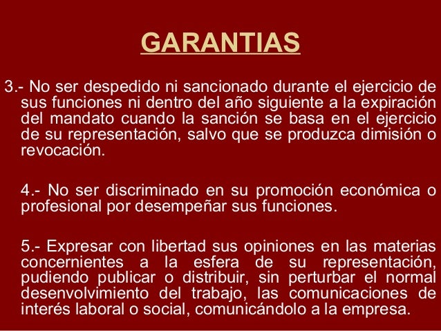 Competencias Y Garantias De Los Delegados Competencias Y Garantias De Los Delegados