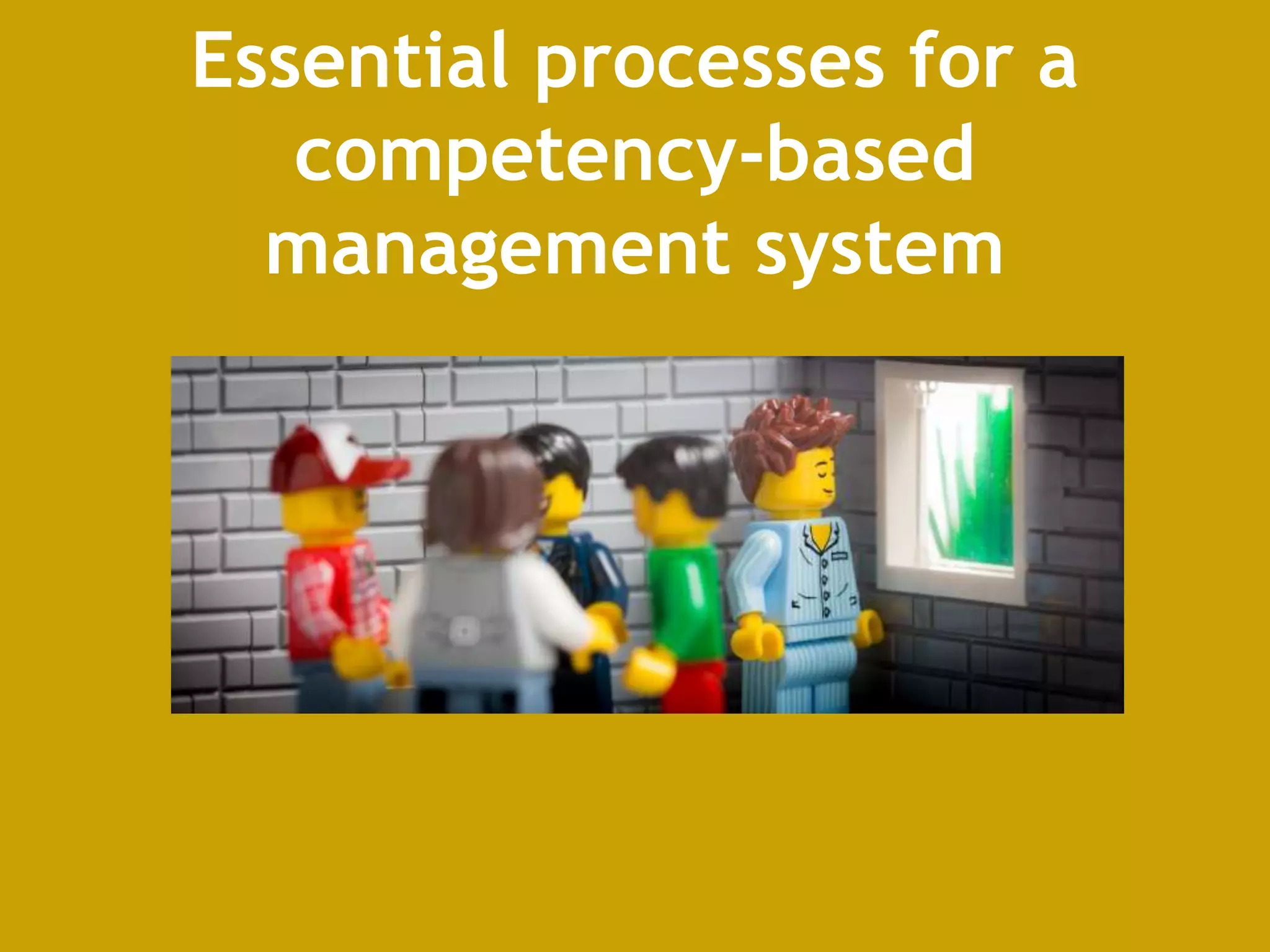 Essential processes for a
competency-based
management system
 