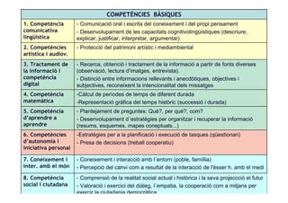 Competenciesprogramaciofebrer08