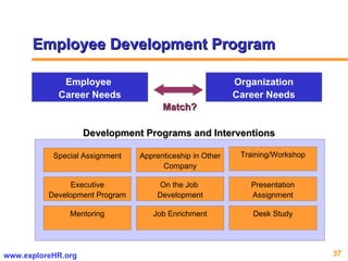 CONCEPTUAL FRAMEWORK Employee Development Program Employee  Career Needs Organization Career Needs Match? Special Assignment Mentoring Executive Development Program Job Enrichment On the Job  Development Apprenticeship in Other Company Presentation Assignment Training/Workshop Desk Study Development Programs and Interventions 