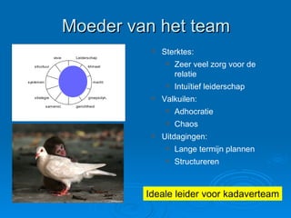 Moeder van het team Sterktes:  Zeer veel zorg voor de relatie Intuïtief leiderschap Valkuilen: Adhocratie Chaos Uitdagingen: Lange termijn plannen Structureren Ideale leider voor kadaverteam 