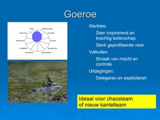 Goeroe Sterktes: Zeer inspirerend en krachtig leiderschap Sterk geprofileerde visie Valkuilen: Smaak van macht en controle Uitdagingen: Delegeren en expliciteren Ideaal voor chaosteam of nieuw kantelteam 