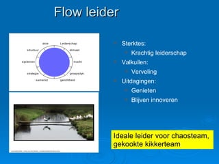 Flow leider Sterktes: Krachtig leiderschap Valkuilen: Verveling Uitdagingen: Genieten Blijven innoveren Ideale leider voor chaosteam,  gekookte kikkerteam 