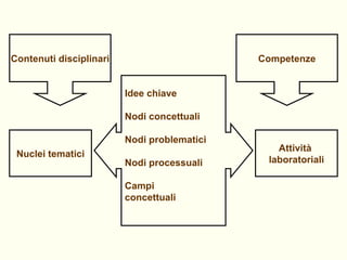 Contenuti disciplinari Competenze Idee chiave  Nodi concettuali Nodi problematici  Nodi processuali Campi  concettuali Nuclei tematici Attività  laboratoriali 