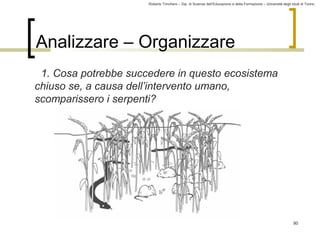 Roberto Trinchero – Dip. di Scienze dell’Educazione e della Formazione – Università degli studi di Torino 
90 
Analizzare – Organizzare 
1. Cosa potrebbe succedere in questo ecosistema 
chiuso se, a causa dell’intervento umano, 
scomparissero i serpenti? 
 