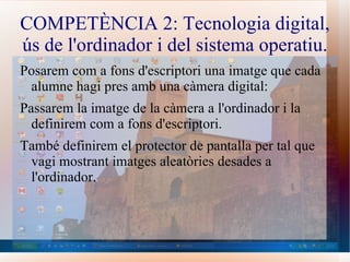 Estarà centrada en la Festa de Sant Antoni de Móra d'Ebre i les activitats que s'hi duen a terme. 