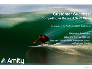 © 2013 Amity
Customer Success:
Competing in the Next SaaS Wave
An analysis of the Pacific Crest 2013 SaaS Survey
Executive Summary
What the Survey Tells Us
The Next Wave: From Enterprise SaaS
to Personal SaaS
 