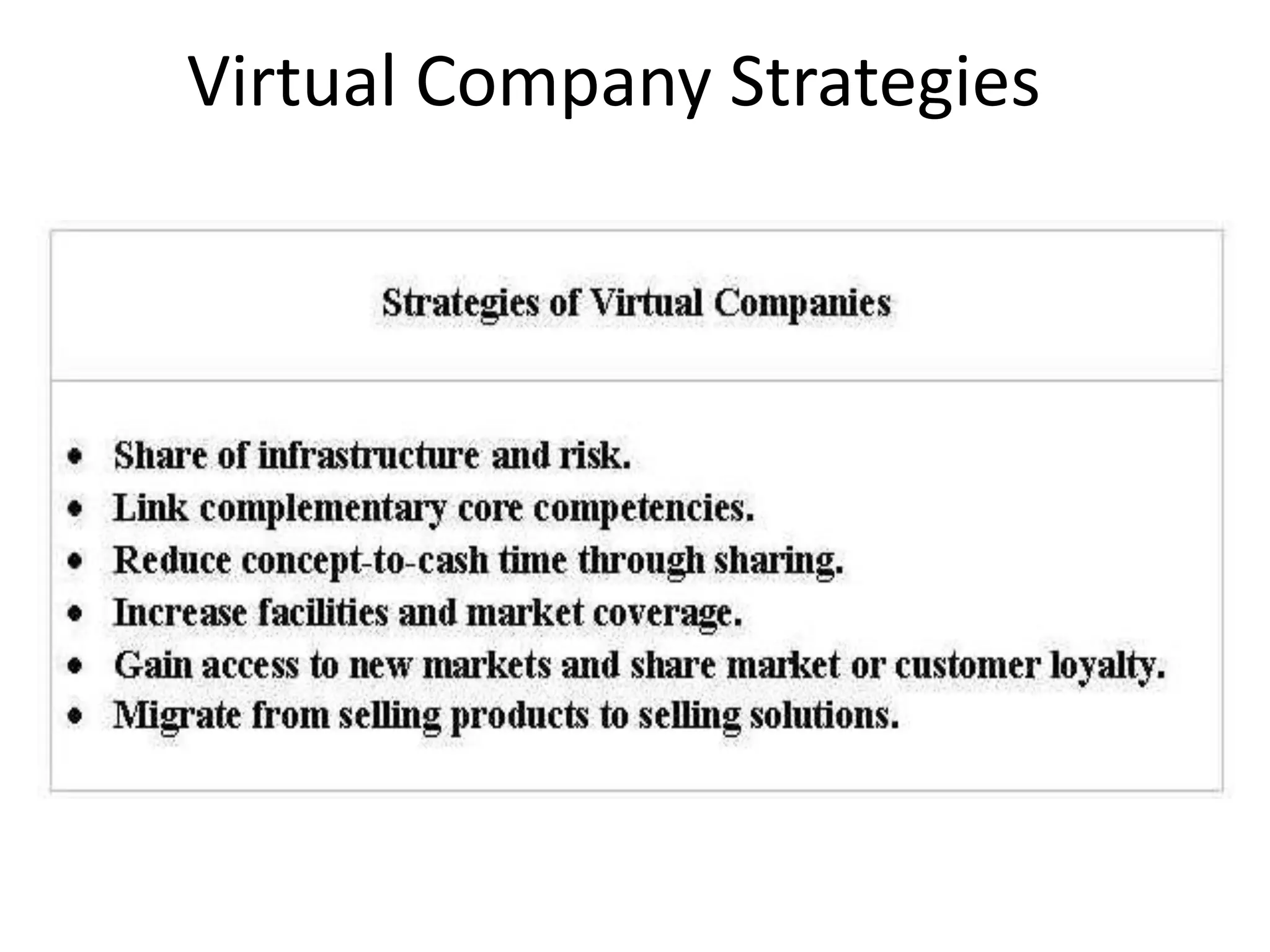 Virtual Company Strategies
 