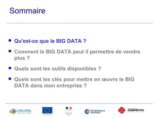 Sommaire 
 Qu'est-ce que le BIG DATA ? 
 Comment le BIG DATA peut il permettre de vendre 
plus ? 
 Quels sont les outils disponibles ? 
 Quels sont les clés pour mettre en oeuvre le BIG 
DATA dans mon entreprise ? 
 