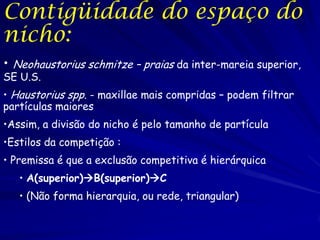 Contigüidade do espaço do
nicho:
• Neohaustorius schmitze – praias da inter-mareia superior,
SE U.S.
• Haustorius spp. - maxillae mais compridas – podem filtrar
partículas maiores
•Assim, a divisão do nicho é pelo tamanho de partícula
•Estilos da competição :
• Premissa é que a exclusão competitiva é hierárquica
   • A(superior)B(superior)C
   • (Não forma hierarquia, ou rede, triangular)
 
