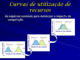 Curvas de utilização de
                                 recursos
                    As espécies evoluíam para minimizar o impacto da
                      competição.




                                                                                                Quantidade comida
                                                                                                                    Tamanho do item alimentar
                                                Quantidade comida
Quantidade comida




                                                                    Tamanho do item alimentar




                    Tamanho do item alimentar
 