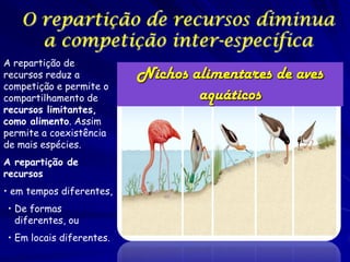 O repartição de recursos diminua
     a competição inter-específica
A repartição de
recursos reduz a          Nichos alimentares de aves
competição e permite o
compartilhamento de               aquáticos
recursos limitantes,
como alimento. Assim
permite a coexistência
de mais espécies.
A repartição de
recursos
• em tempos diferentes,
• De formas
  diferentes, ou
• Em locais diferentes.
 