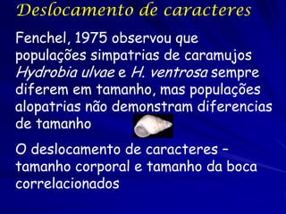 Deslocamento de caracteres
Fenchel, 1975 observou que
populações simpatrias de caramujos
Hydrobia ulvae e H. ventrosa sempre
diferem em tamanho, mas populações
alopatrias não demonstram diferencias
de tamanho
O deslocamento de caracteres –
tamanho corporal e tamanho da boca
correlacionados
 