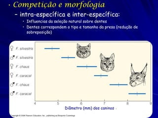 • Competição e morfologia
  – intra-específica e inter-específica:
    • Influencias da seleção natural sobre dentes
    • Dentes correspondem o tipo e tamanho da presa (redução de
      sobreposição)




                         Diâmetro (mm) dos caninos
 