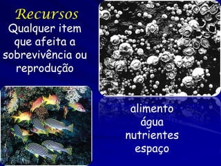 Recursos
 Qualquer item
  que afeita a
sobrevivência ou
  reprodução


                         alimento
                   any factor consumed
                           água
                   by an organism and
                       nutrientes
                   supports increased
                          espaço
                   population growth
                   rates
 