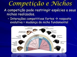 Competição e Nichos
A competição pode restringir espécies a seus
 nichos realizados.
  – Interações competitivas fortes  resposta
    evolutiva = mudança do nicho fundamental
 