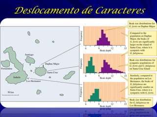 Deslocamento de Caracteres
 