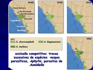 exclusão competitiva: trocas
  sucessivas de espécies vespas
parasíticas, Aphytis, parasitas de
            Aonidiella
 