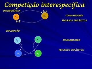 Competição interespecífica
INTERFERÊNCIA        (-)
                     C2         CONSUMIDORES
         C1

          (-)                RECURSOS IMPLÍCITOS




  EXPLORAÇÃO



         C1     C2           CONSUMIDORES



                           RECURSOS EXPLÍCITOS
          R1    R2
 