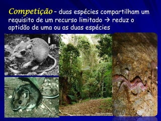 Competição – duas espécies compartilham um
requisito de um recurso limitado  reduz o
aptidão de uma ou as duas espécies
 