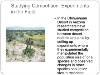 Studying Competition: Experiments in the FieldIn the Chihuahuan Desert in Arizona researchers have studied competition between desert rodents and ants by setting up experiments where they experimentally manipulated the population size of one species and observed changes in other species population size in response.