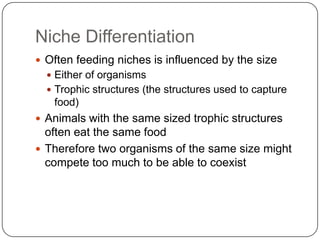Niche DifferentiationOften feeding niches is influenced by the sizeEither of organismsTrophic structures (the structures used to capture food)Animals with the same sized trophic structures often eat the same foodTherefore two organisms of the same size might compete too much to be able to coexist