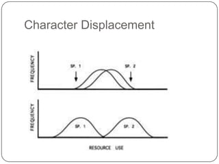 Character Displacement