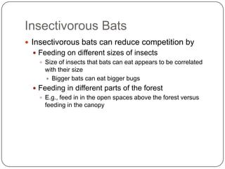 Insectivorous Bats Insectivorous bats can reduce competition by Feeding on different sizes of insectsSize of insects that bats can eat appears to be correlated with their sizeBigger bats can eat bigger bugsFeeding in different parts of the forestE.g., feed in in the open spaces above the forest versus feeding in the canopy