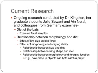 Current ResearchOngoing research conducted by Dr. Kingston, her graduate students Julie Sewani and AinNural, and colleagues from Germany examines-Diet of the batsExamine fecal samplesRelationship between morphology and dietEffect of jaw size on bite forceEffects of morphology on foraging abilityRelationship between size and dietRelationship between wing shape and dietRelationship between morphology and foraging locationE.g., how close to objects can bats catch a prey?