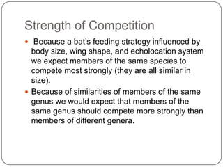 Strength of Competition  Because a bat’s feeding strategy influenced by body size, wing shape, and echolocation system we expect members of the same species to compete most strongly (they are all similar in size).Because of similarities of members of the same genus we would expect that members of the same genus should compete more strongly than members of different genera.