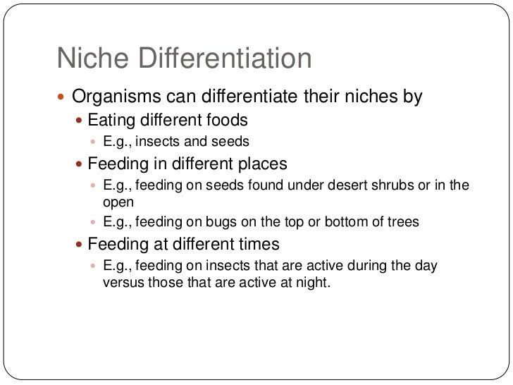 Competition MBEA Activity