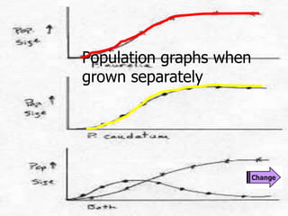 Population graphs when
grown separately
 
