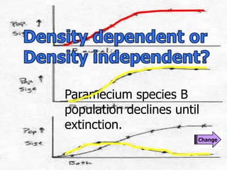 Paramecium species B
population declines until
extinction.
 